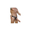 V5H103D5C27B5FA0F856B7AC9BA393E5024R5109517P2